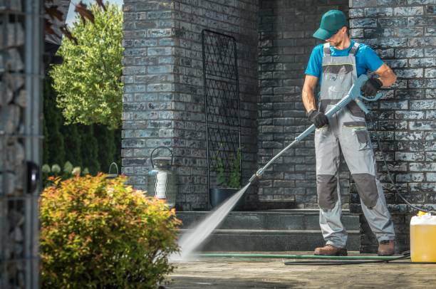 Best Sidewalk and Walkway Cleaning  in Ozk, AR